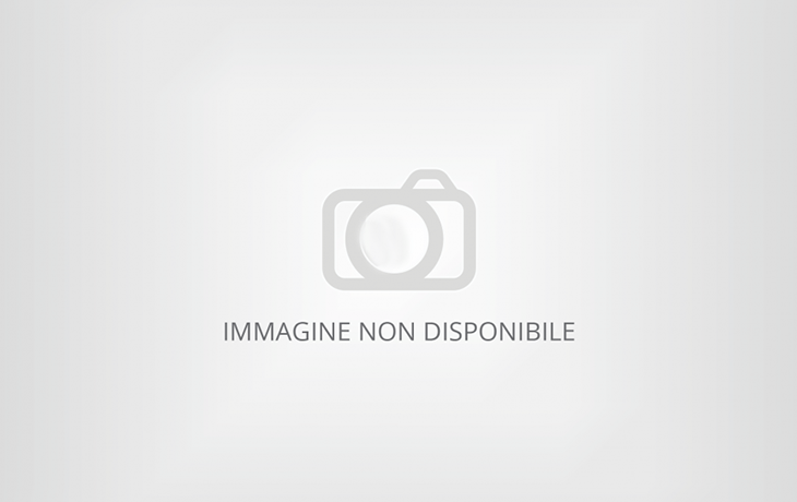 Foto non disponibile